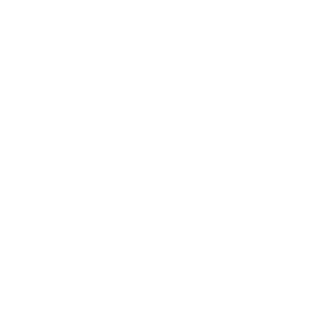 radio star